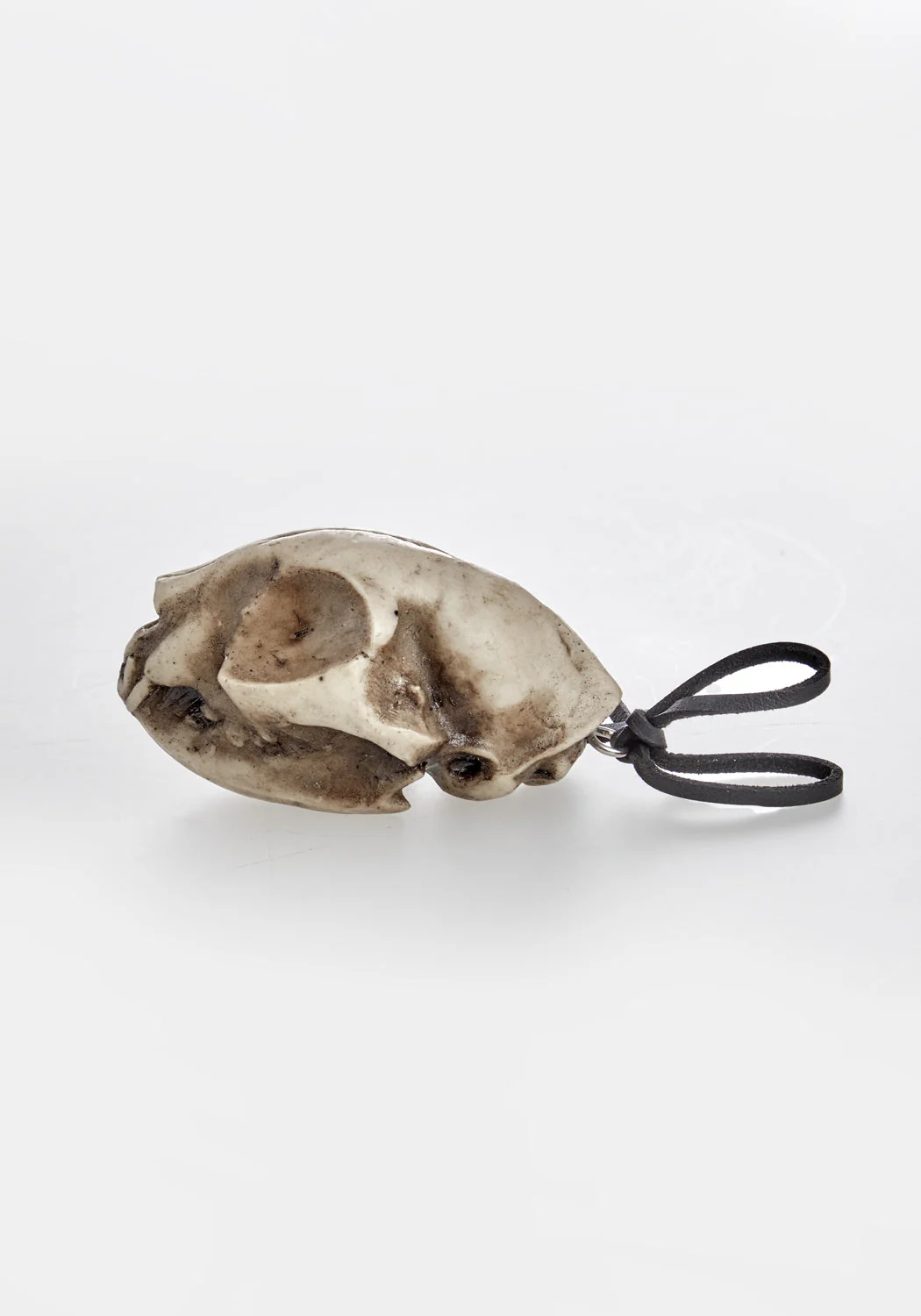 Cat Skull Offering - Image 4