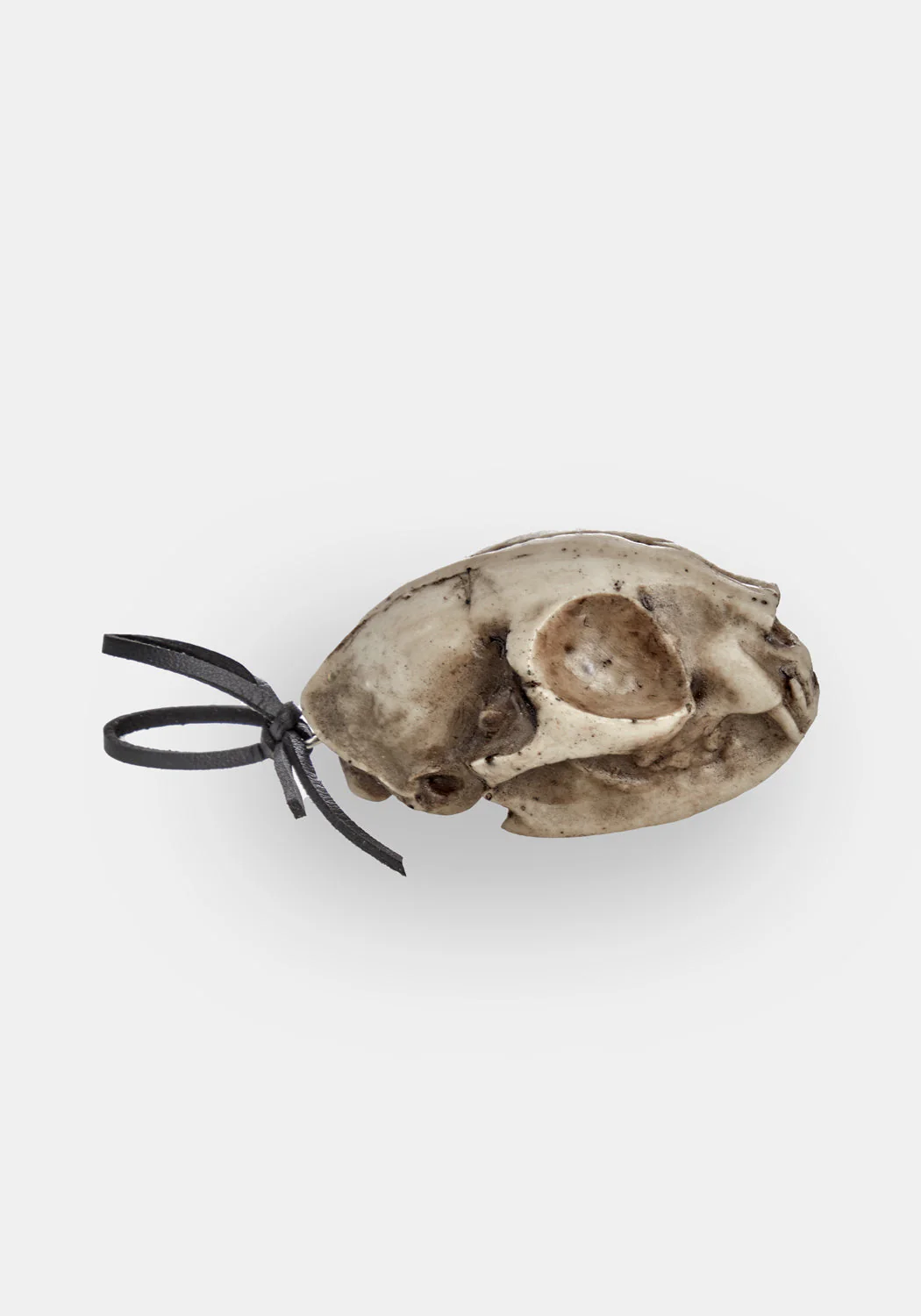 Cat Skull Offering - Image 5