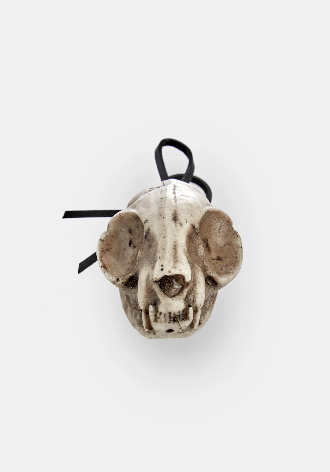 Cat Skull Offering - Image 6
