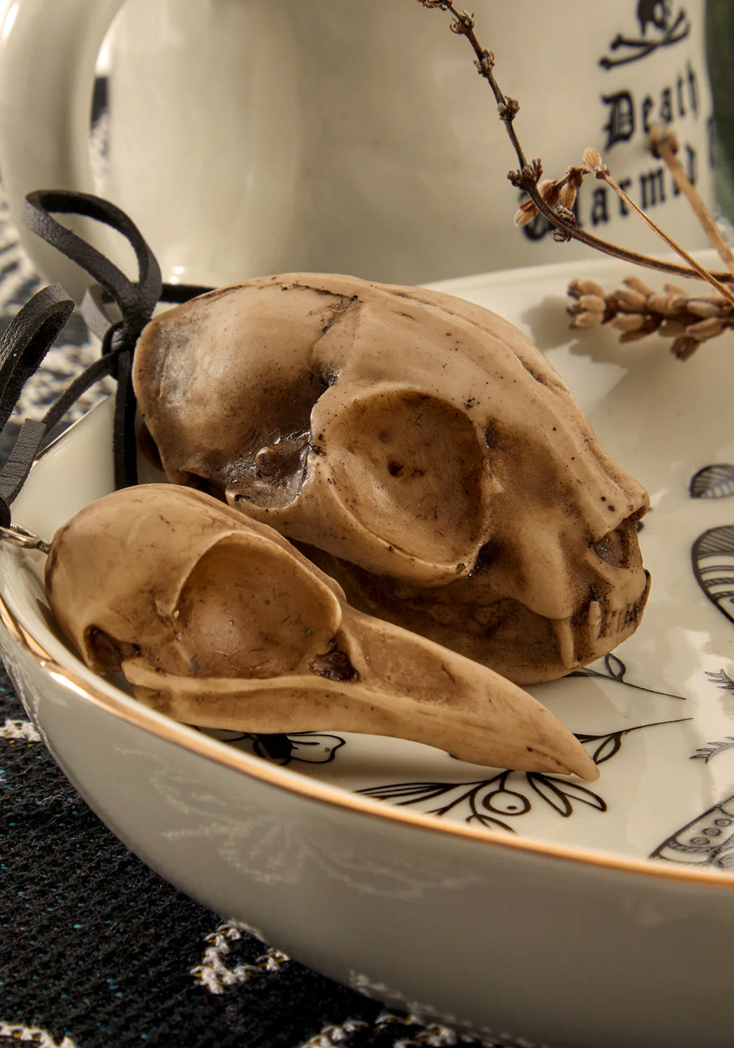 Cat Skull Offering - Image 7